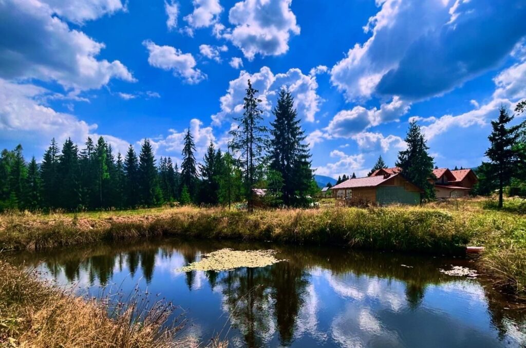 Tabără de Germană (pentru adulți) - Învățare & Relaxare 10 Tabără de Germană (pentru adulți) - Învățare & Relaxare 1