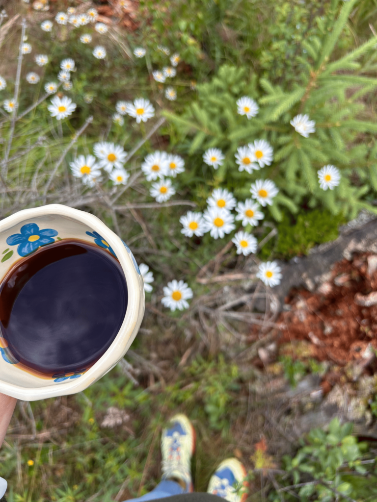 Tabără de Germană (pentru adulți) - Învățare & Relaxare 3 IMG_6381 (1)-min