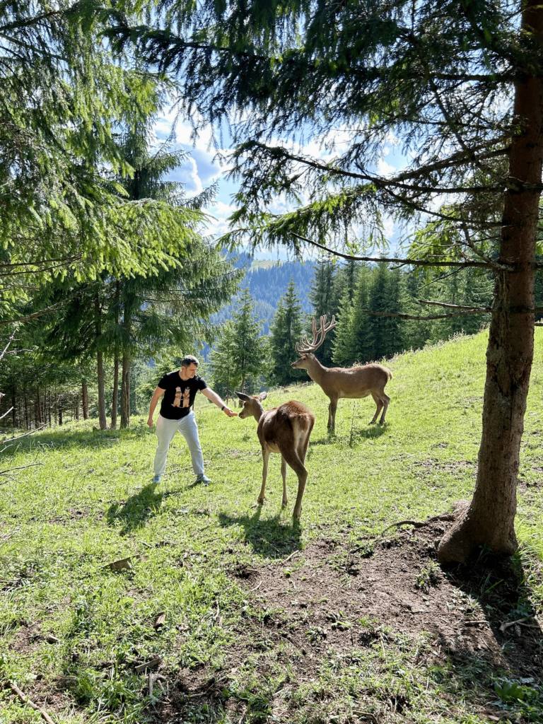 Tabără de Germană (pentru adulți) - Învățare & Relaxare 5 IMG_6440