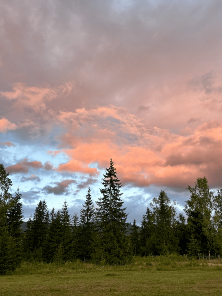 Tabără de Germană (pentru adulți) - Învățare & Relaxare 4 IMG_6474