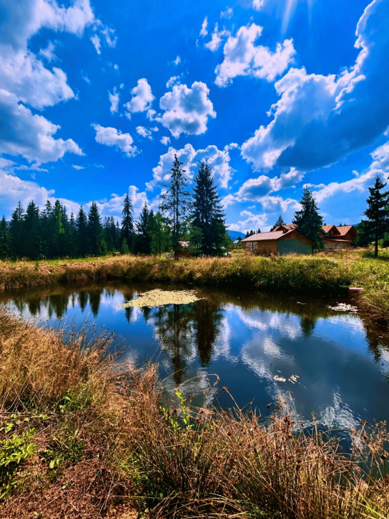 Tabără de Germană (pentru adulți) - Învățare & Relaxare 2 tabara de recreere