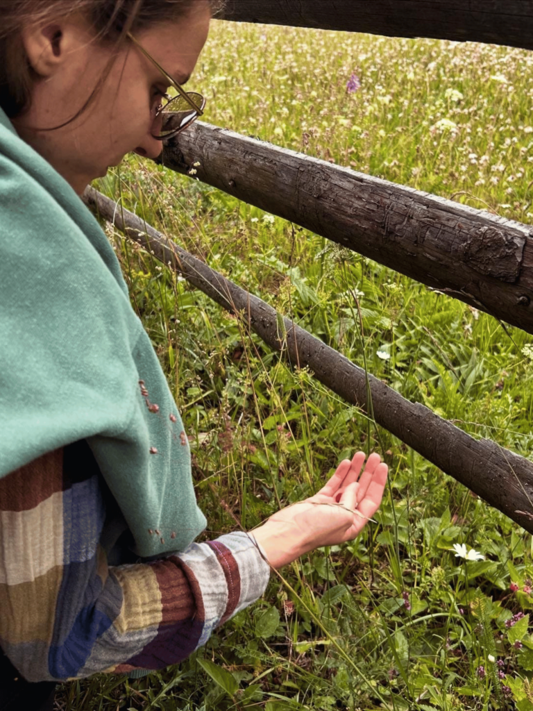 Tabără de Germană (pentru adulți) - Învățare & Relaxare 7 tabara pentru adulti recreere